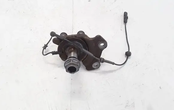 Renault Laguna III Rear wheel hub spindle/knuckle 430180015R