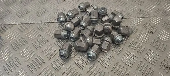 Ram 1500 DT Nuts/bolts
