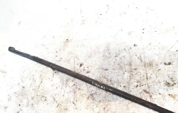 Honda Accord Front door glass trim molding 