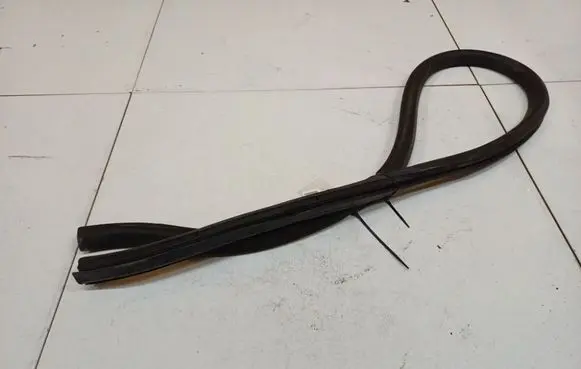 Volkswagen PASSAT CC Rubber seal rear door 