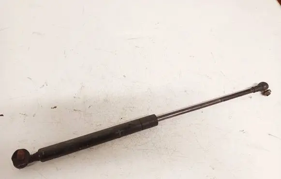 Nissan Maxima Tailgate/trunk strut/damper 4164bj