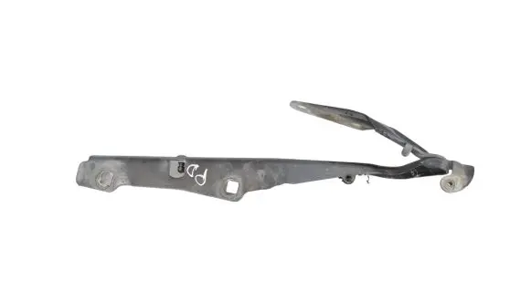 Dodge RAM 1500 DS Engine bonnet/hood hinges 574AD