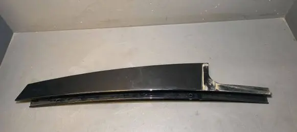 Rear door glass trim molding