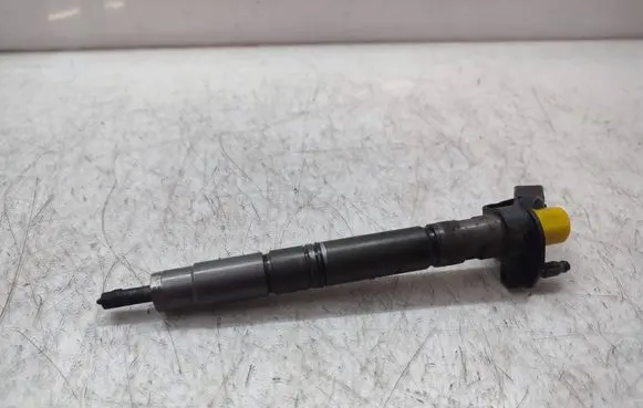 Audi A5 Sportback 8TA Fuel injector 0445117022