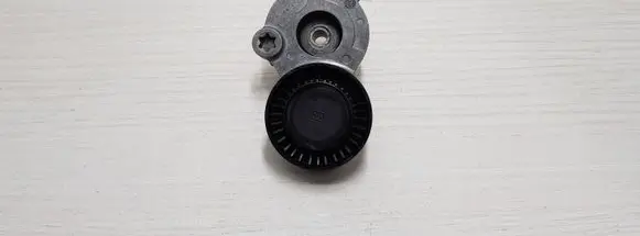Porsche Cayenne (92A) Generator/alternator belt tensioner F607210
