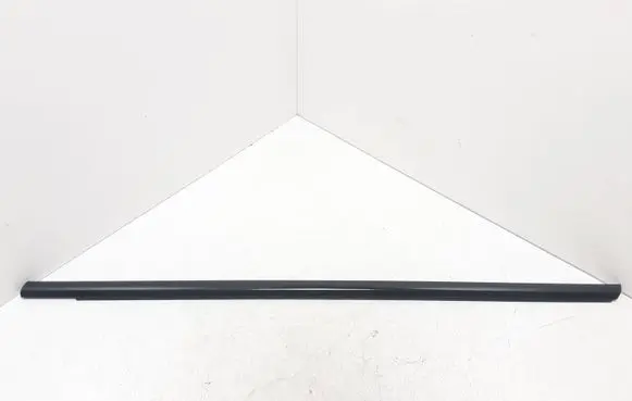 Volvo S80 Front door glass trim molding 30661120