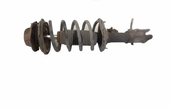 Hyundai Getz Front shock absorber with coil spring