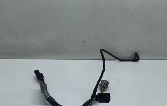 Other wiring loom