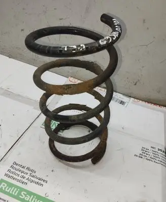 Volvo S60 Rear coil spring