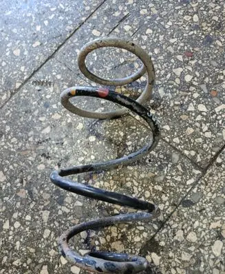 Nissan Juke I F15 Front coil spring 
