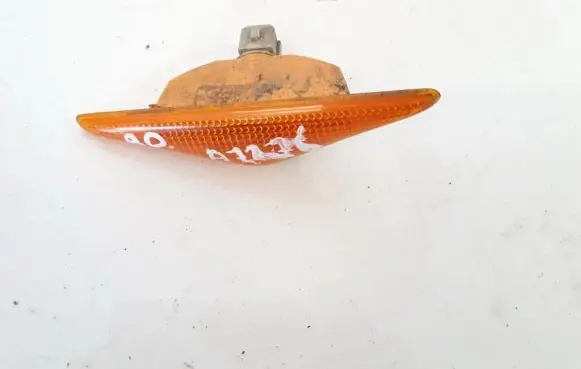 Front fender indicator light