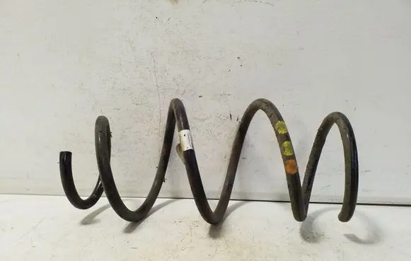 Rear coil spring