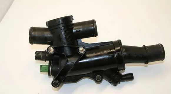 Thermostat/thermostat housing