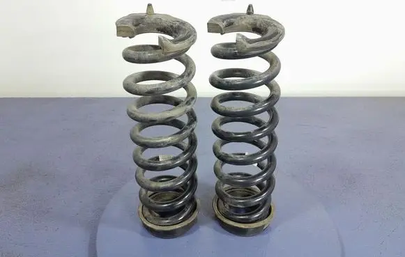 Rear coil spring
