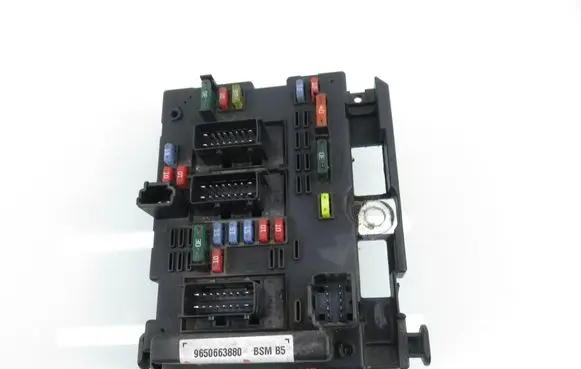 Peugeot 307 BSM Control unit 9650663880