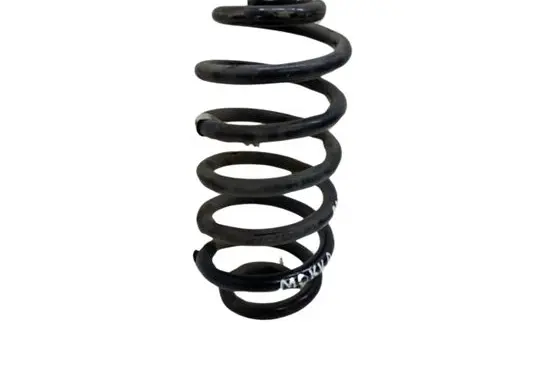 Opel Mokka Rear coil spring 95107104
