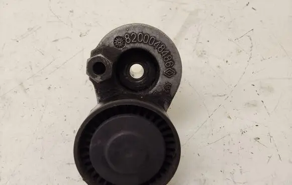 Renault Megane II Timing belt/chain tensioner 8200048486