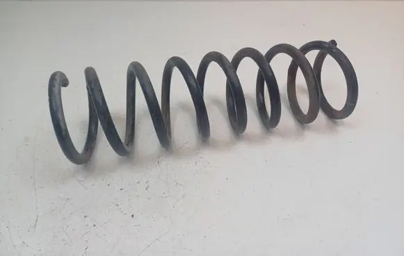 Rear coil spring