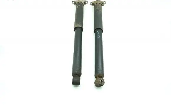 Ford Kuga II Rear shock absorber/damper MMAUTKO29272
