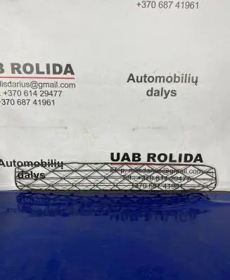 BMW X5 E70 Front bumper lower grill 51118038269