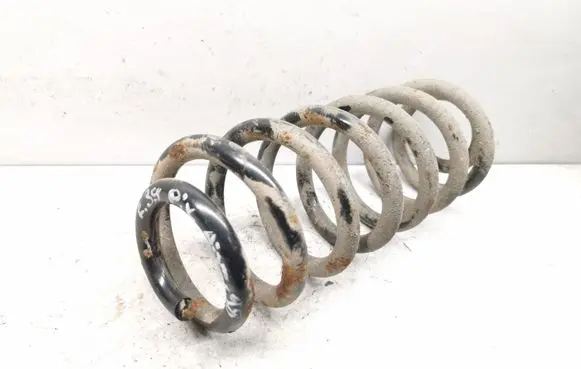 Rear coil spring