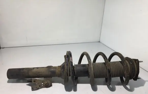 Front shock absorber with coil spring