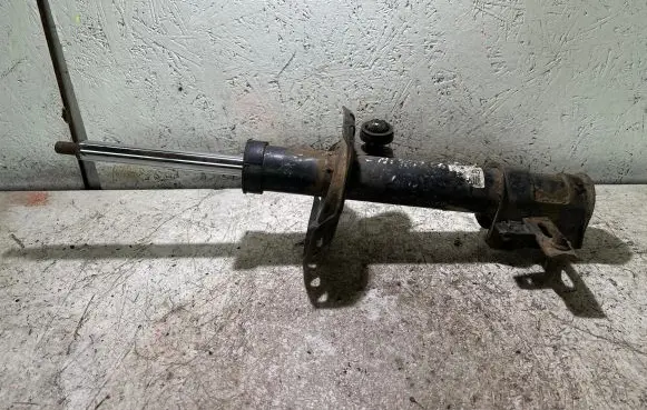 Opel Zafira B Front shock absorber/damper 