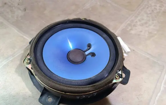 Rear door speaker