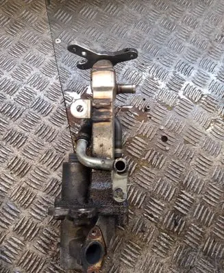 Volvo S80 EGR valve