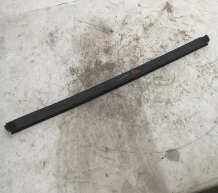 Ford Fusion II Front door rubber seal