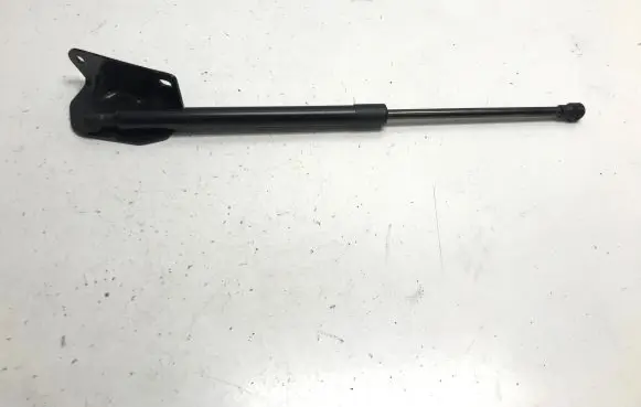 Tailgate/trunk strut/damper