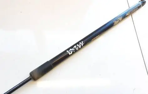 Ford C-MAX II Tailgate/trunk strut/damper AM51R406A10AD