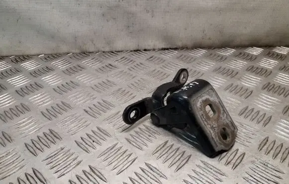 Opel Insignia A Rear door lower hinge ES03A046574