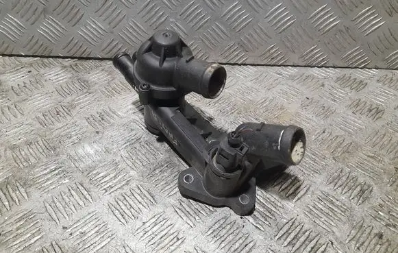 Thermostat/thermostat housing