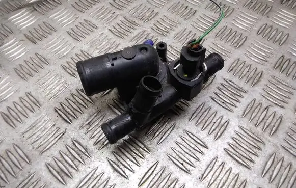Thermostat/thermostat housing
