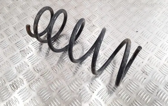 Front coil spring