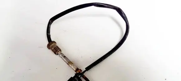 Exhaust gas temperature sensor