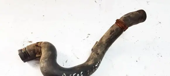 Renault Scenic I Engine coolant pipe/hose