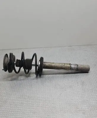 BMW 5 E39 Front shock absorber with coil spring 1096858 824904557210