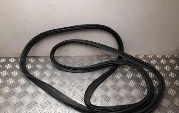 Toyota RAV 4 (XA50) Rubber seal tailgate window/glass 017