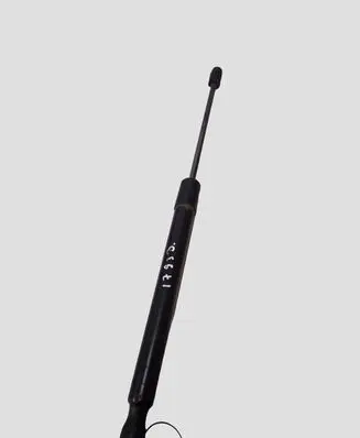 Volkswagen Golf V Tailgate/trunk strut/damper