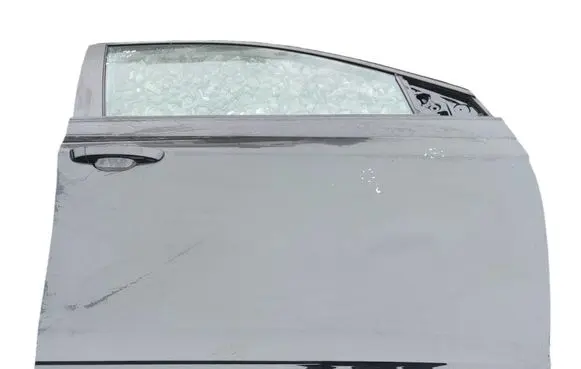 Volkswagen Polo VI Front door 