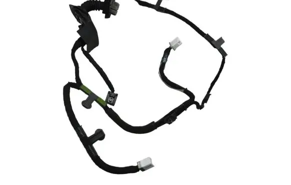 Rear door wiring loom