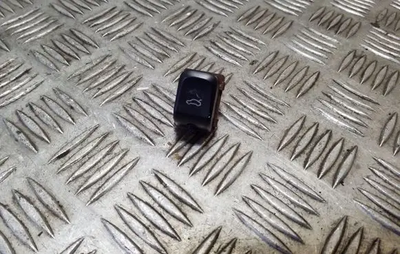 Tailgate opening switch