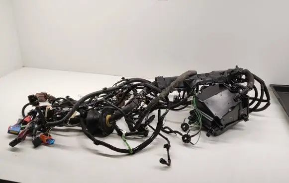 Other wiring loom