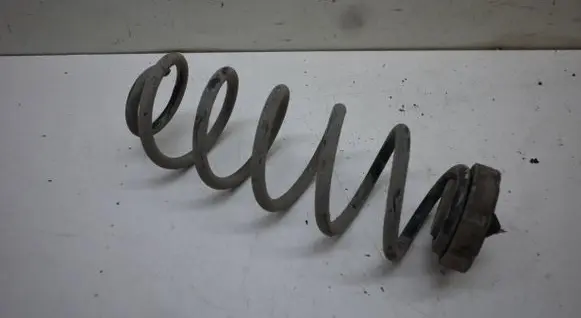 Rear coil spring