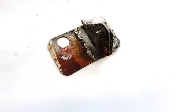 Rear door lower hinge