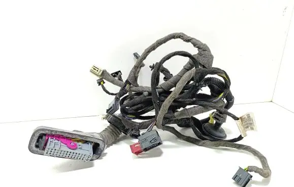 Front door wiring loom