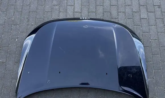 Engine bonnet/hood