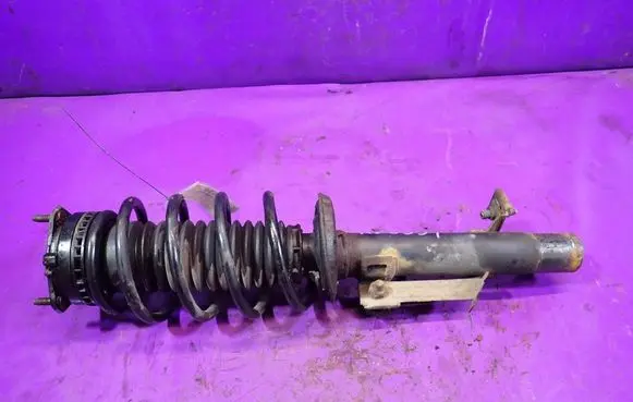 Ford Fusion Front shock absorber with coil spring 